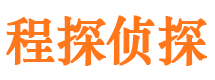 洛隆寻人公司